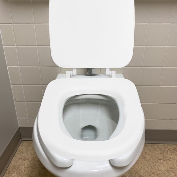 HOMOBABE Padded Toilet Seat Cushion Soft Foam Comfortable Seating White
