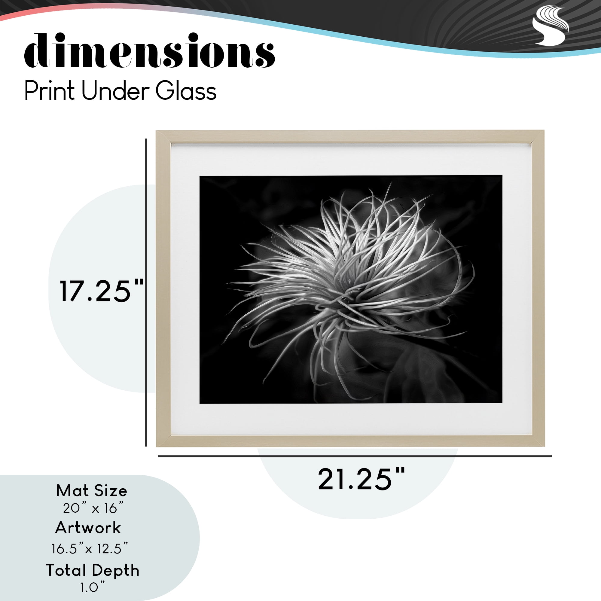 Twisting Botanical Leaves Contrast Birch Framed Print Under Glass, design by Phillip Flowers