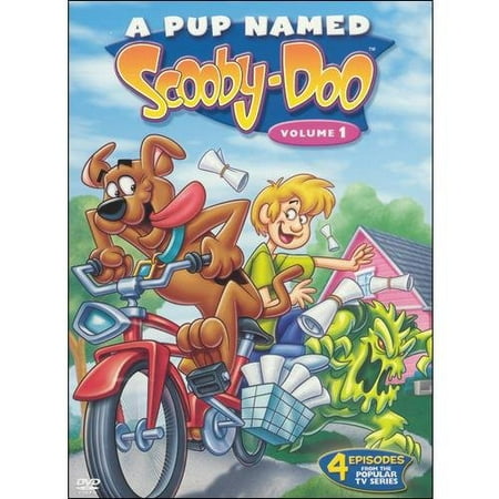 A Pup Named Scooby-Doo, Vol. 1 - Walmart.com