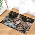 thumbnail image 2 of SPXUBZ Sleeping Cat With Succulents Non Slip Kitchen Mats Bathroom Rugs Floor Mats for Floor 28.4W x 20.5H inch, 2 of 5