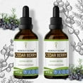 thumbnail image 1 of Cedar Berry Tincture Alcohol Extract, Wildcrafted Cedar Berry (Juniperus monosperma) Dried Berry 2x4 oz, 1 of 7
