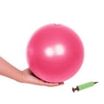 thumbnail image 1 of Pelota de ejercicio pequeña, mini pelota de fitness para barra, pilates, equilibrio, gimnasio, yoga, equilibrio, estabilidad, doblador físico, rojo, 1 of 2