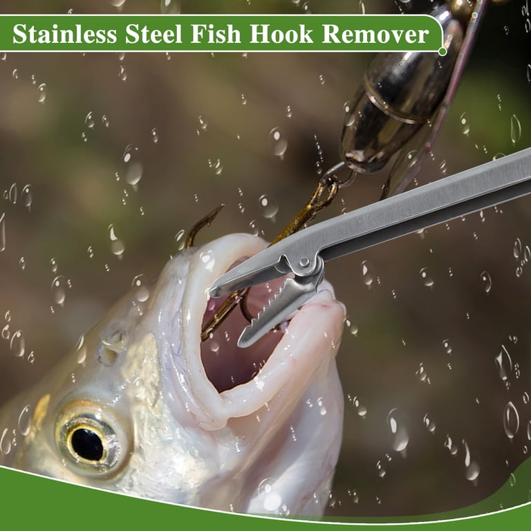 best fishing rod and reel for freshwater Heavy Duty Fishing: Best Rods And Reels For Big Fish