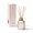 Coconut Santal, variant on Reed Diffuser Havana Vanilla with Iridescent Glass Bottle, Scented Oil and Reeds