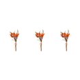 thumbnail image 4 of Ramos de Flores secas naturales Cateissary HS-15 3Conjunto, 4 of 6