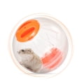 thumbnail image 4 of WHAMVOX 2Ud Deportiva Para Hamster Multiusos Con Interior Suave Y Portátil, 4 of 8