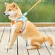 thumbnail image 3 of Arnés de pecho para perros y gatos, correa reflectante para perros pequeños y medianos, tipo chaleco, correa para mascotas (M, naranja), 1 Uds., 3 of 5