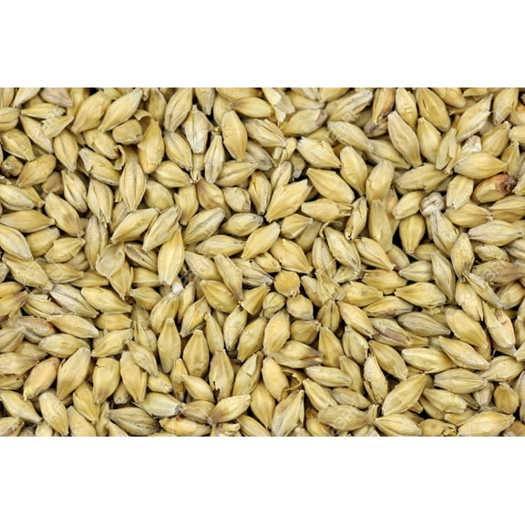 2-Row Brewers Malt For Home Brewing Whole Grain 10lbs