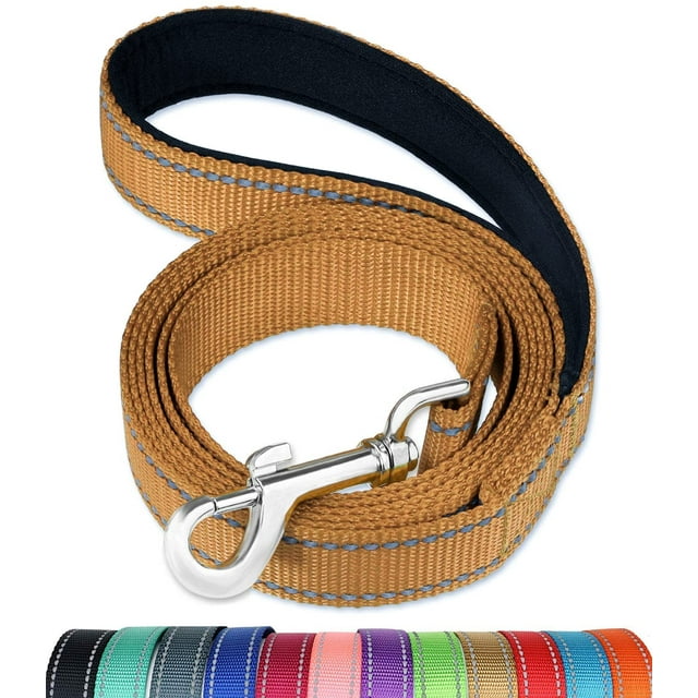 FunTags 4FT Reflective Dog Leash with Soft Padded Handle for Training,Walking Lead for Medium & Small Dogs,3/4 Inch Wide,Khaki