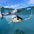 thumbnail image 4 of Propeller Topwater Fishing Lure with 362 Degree Rotating Blade, Splash-Inducing Micro Surface Bait for Bass Panfish, 4 of 5