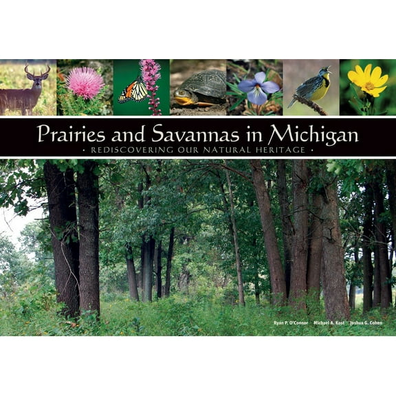 Prairies and Savannas in Michigan : Rediscovering Our Natural Heritage (Paperback)