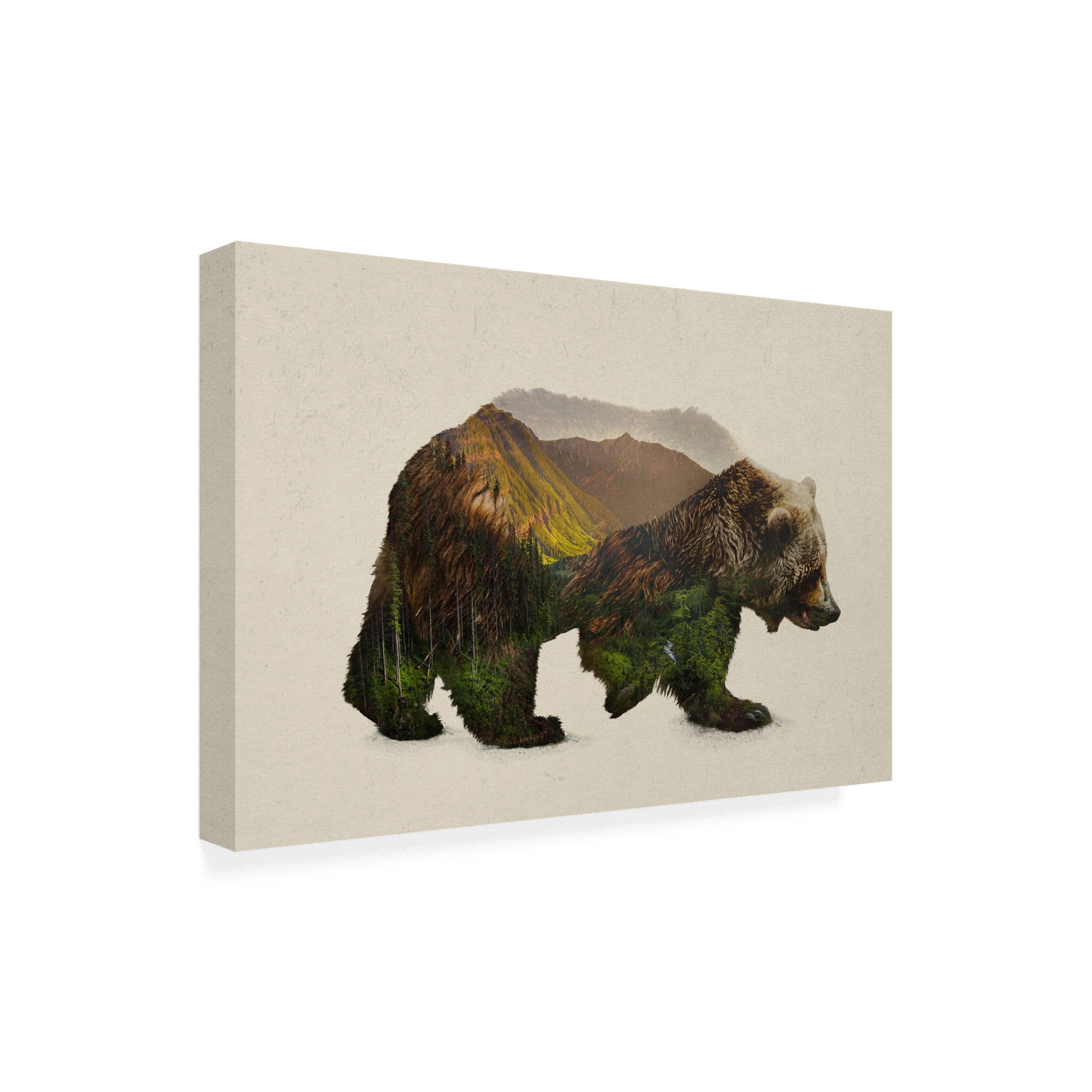 Trademark Fine Art 'North American Brown Bear' Canvas Art by Davies Babies