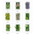 thumbnail image 2 of leyfeng Planta de flores artificiales de 6x9,5 pulgadas con marco de exhibición de fotos, maceta para colgar en la pared, pared Vertical interior, 2 of 6