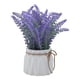thumbnail image 3 of planta dec. lavanda 24cm, 3 of 7