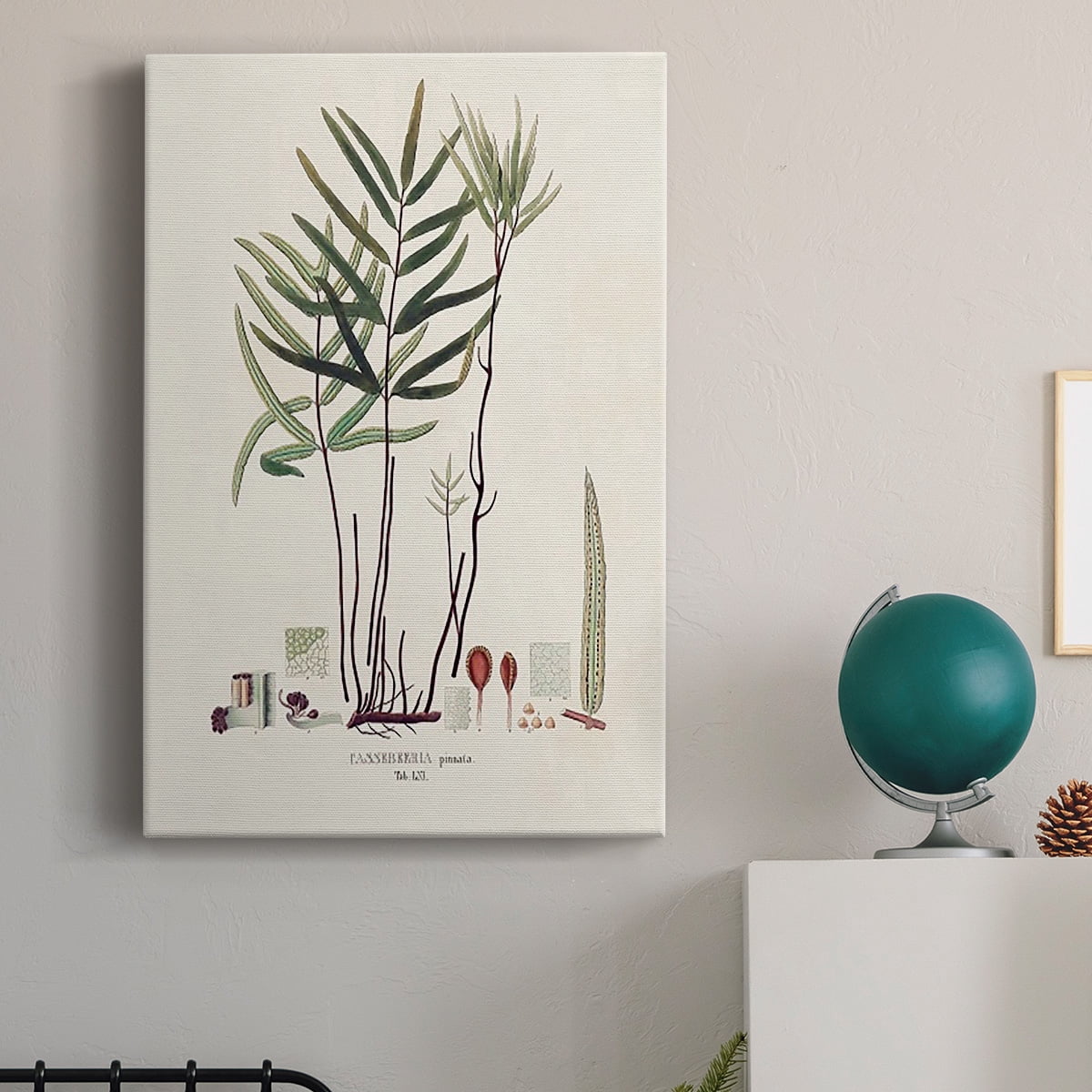 Botanical Society Ferns XI Premium Gallery Wrapped Canvas - Ready to Hang