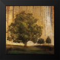thumbnail image 2 of Pinto, Patricia 20x20 Black Modern Framed Museum Art Print Titled - Aged Tree II, 2 of 5