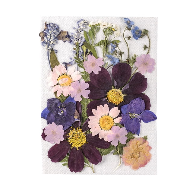 Flores secas naturales artesanías hechas a mano Ramos en relieve Flores prensadas Flores hermosa Adorno Presente para tarjetas de boda RESINA CADRE tipo 1 Inevent HA012476-00