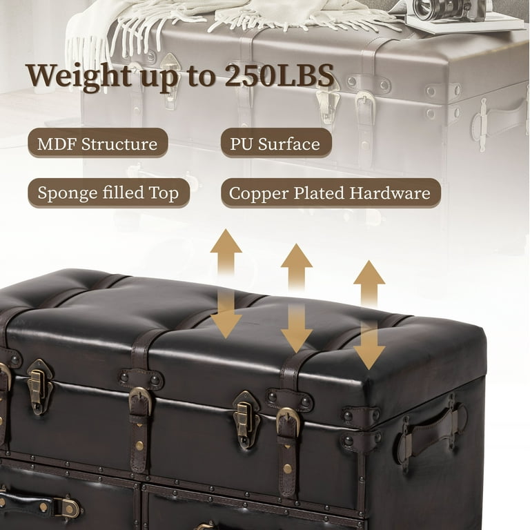 COZAYH Vintage Trunk Large Storage, Chest Cabinet with Latch Closure and Buckle for Bedroom Closet Home Organizer Decorative, Black Brown COZAYH Vintage Trunk Large Storage, Chest Cabinet with Latch Closure and Buckle for Bedroom Closet Home Organizer Decorative, Black Brown
