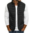 thumbnail image 2 of UTTOASFAY Autumn and Winter Solid Color Atmosphere Comfortable All-Match Vest Men's Cotton Jacket Black 10(XL), 2 of 2