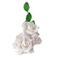 thumbnail image 1 of Crystal Candy White Rose Edible Flower Kit, 1 of 2