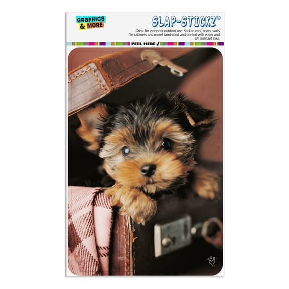 Yorkie Yorkshire Terrier Puppy Dog in Briefcase Trunk Suitcase Home Business Office Sign
