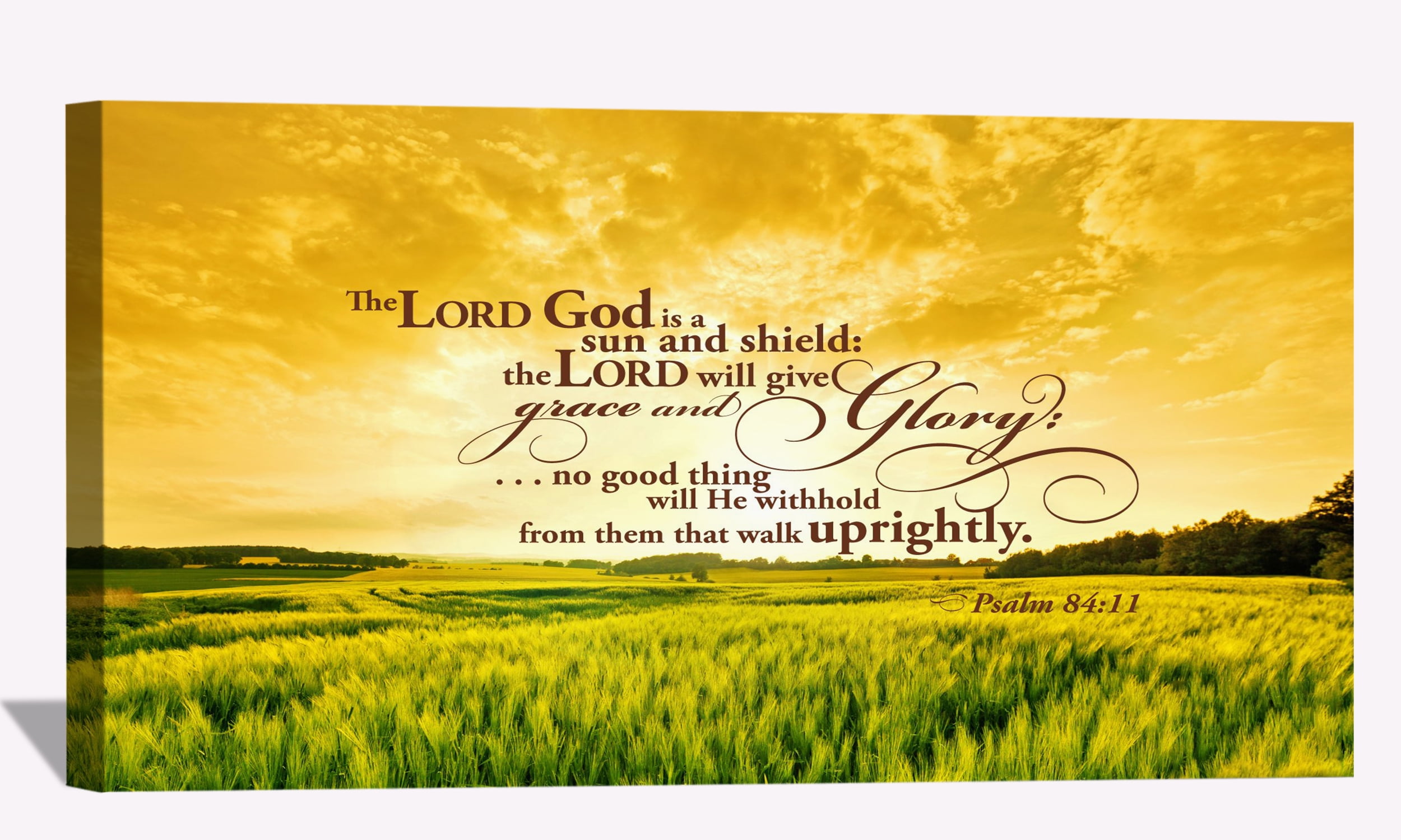 Christ Canvas Art Jesus Framed Painting God Is A Sun And Shield Quotes