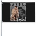 thumbnail image 4 of Pedro Pascal Drapeaux de Jardin Décoration Maison Impression Recto 3x5 Pieds, 4 of 5