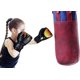 thumbnail image 2 of Toystoory 1 par de guantes de boxeo para niños, entrenamiento de golpes, guantes de kickboxing ajustables cómodos, guantes para niñas, Protector de Type2 NO2 Toystoory HW4734-02B, 2 of 6