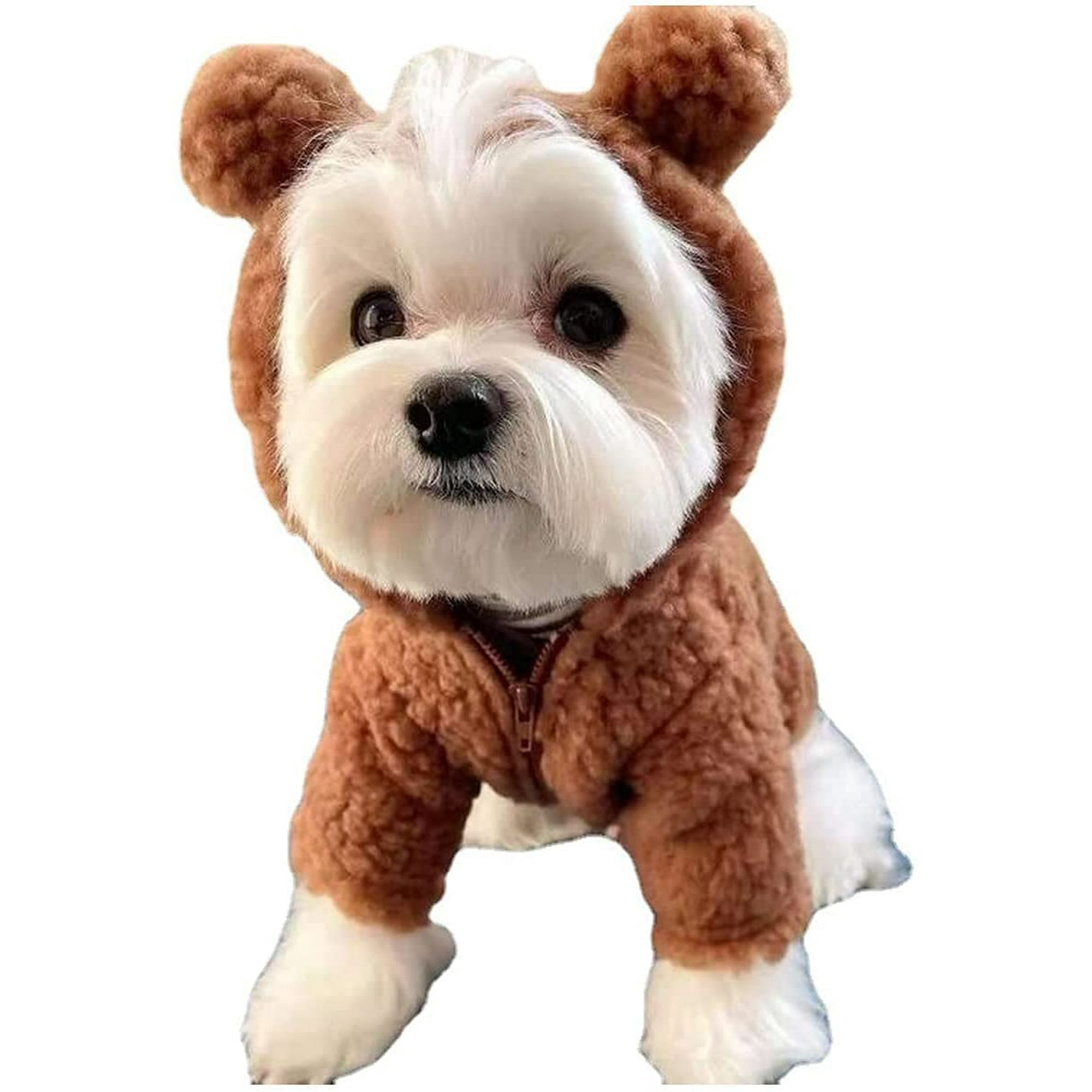 Large dog teddy bear costume online