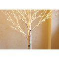 thumbnail image 2 of Guirnalda de luces de abedul, color blanco cálido, de 6 pies, 330 litros, Birchlitland, 2 of 9