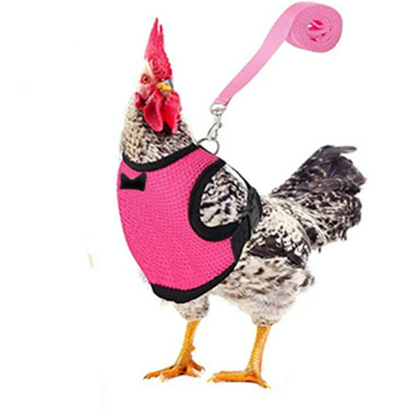 TUWABEI Chicken Harness with Leash, Upgraded Double Adjustment Chicken Harness and Leash Set for Hens, Duck, Goose, Small Pet
