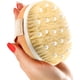 thumbnail image 1 of Cepillo corporal seco (1 paquete) - Reduce la celulitis Cepillo seco para celulitis y drenaje linfático Cepillo exfoliante con nódulos de masaje suave Cepillo de ducha Depurador corporal (Cepillo de c, 1 of 5