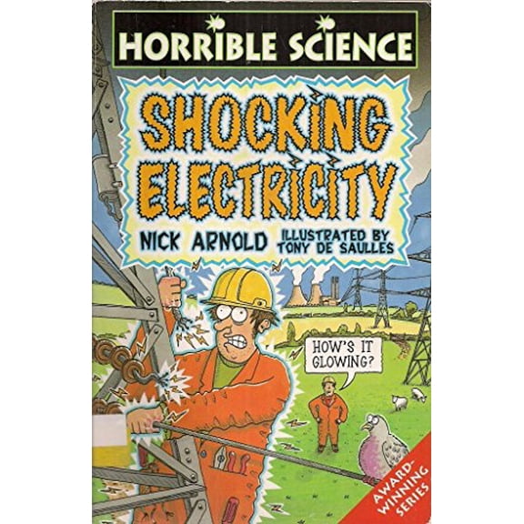 Pre-Owned Shocking Electricity (Horrible Science) Paperback - USED