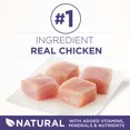 Purina ONE Natural Cat Food for Hairball Control, +PLUS Hairball