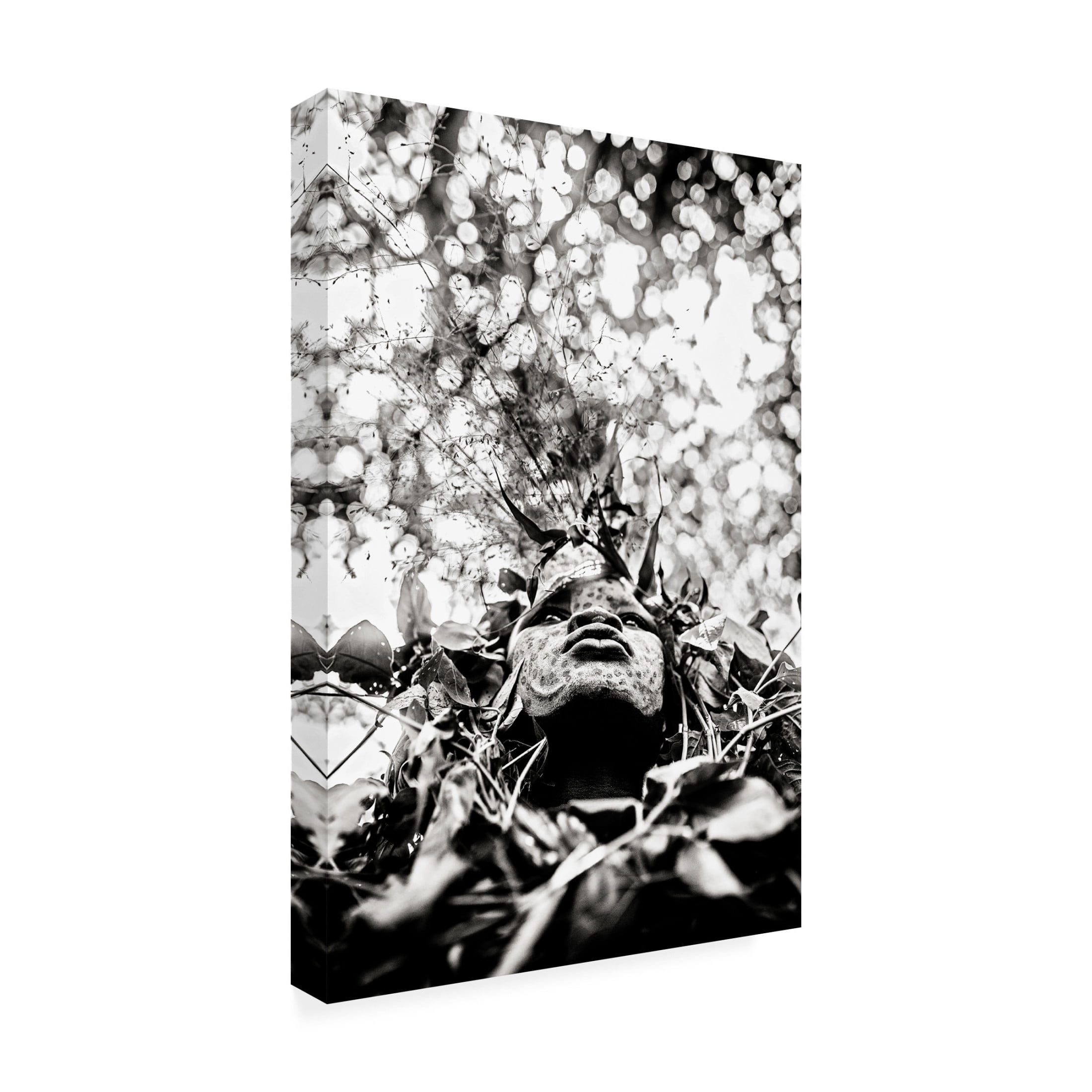 Canvas Wall Art - Vedran Vidak 'Suri Girl' Wall Art for Living Room, Bedroom, or Office D?cor by Trademark Fine Art - 12 x 19 Inches