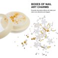 thumbnail image 2 of 6 Cajas 3D Nail Art Jewelry DIY Resina Nail Stud Creative Nail Art Charms, 2 of 6