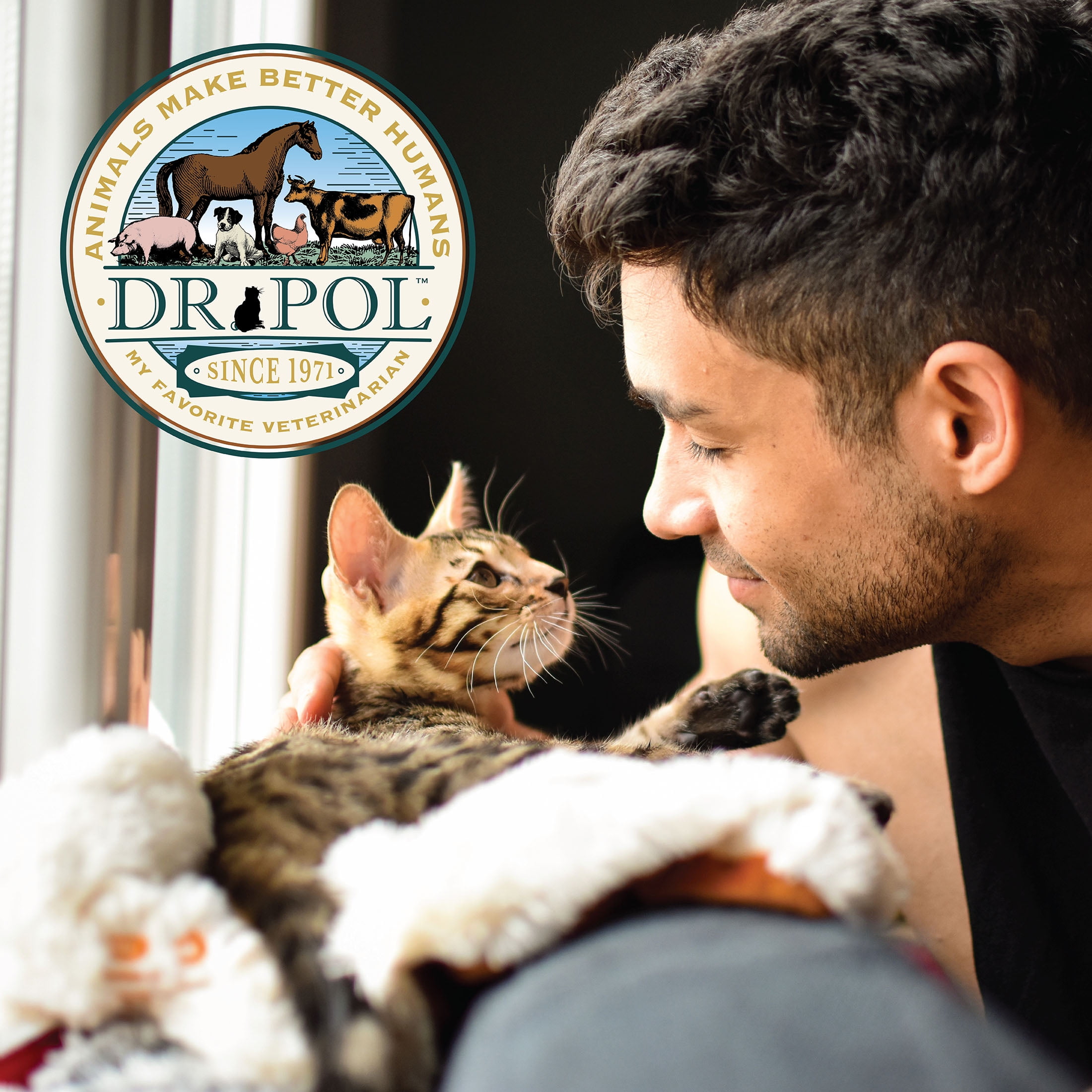 Dr. Pol High Protein Veterinarian Inspired Limited Ingredient Chicken Recipe Cat & Kitten Food