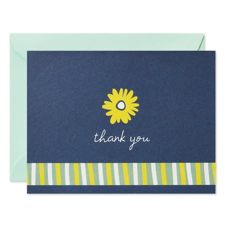 American Greetings Thank You Stationery with Envelopes, Daisy on Navy (20-Count)