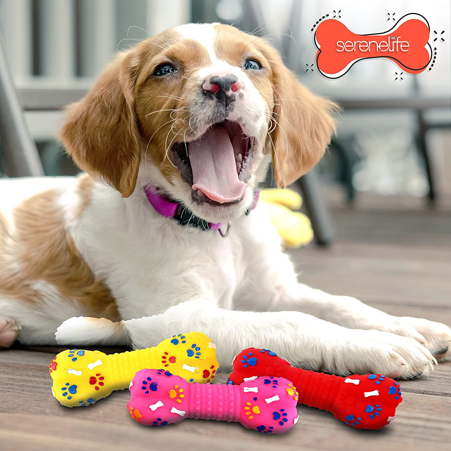 Dog bone squeaky toy hot sale