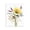Wild Summer Blooms, variant on Stupell Industries Shabby Chic Mixed Wild Flowers Black Floating Frame Canvas Art, 17 x 21, by Ryley Gray