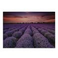 thumbnail image 1 of Dark Purple Cutting Board, Lavender Field Photo with Burnt Sienna Toned Sunset Sky Tree Silhouettes, Decorative Tempered Glass Cutting and Serving Board, in 3 Sizes, by Ambesonne, 1 of 2