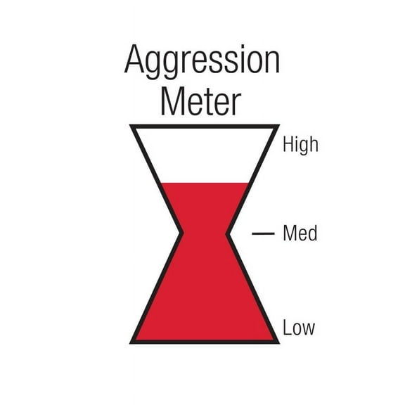 Black Widow Exhaust BW001-C