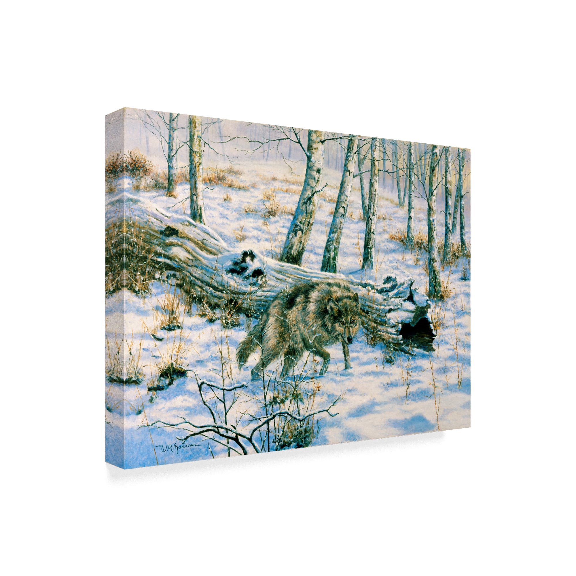 Trademark Fine Art 'Snow Wolf' Canvas Art by Bill Makinson