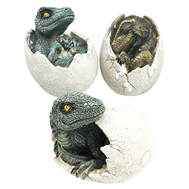 velociraptor egg fossil