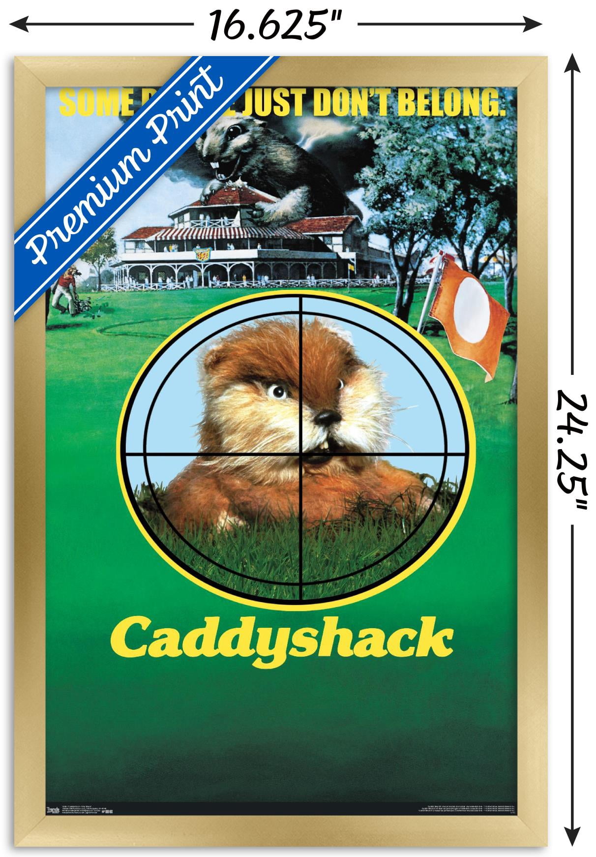 Caddyshack - One Sheet Wall Poster, 14.725" x 22.375", Framed