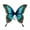 F, variant on CHJK Halloween Butterfly Fairy Wings Clothing Accessory, Butterfly Wing Props, Dress‑Up Wings for Festival Party Carnival Photo Prop