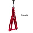 thumbnail image 2 of Pet Parrot Traction Strap Outdoor Rope Pet Leash Adjustable Bird Harness for Cockatiel Random Colour Large, 2 of 7