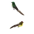 thumbnail image 1 of 2 piezas de plumas artificiales, gorrión, pájaro, Clip, pájaros falsos, Spadger, 1 of 3