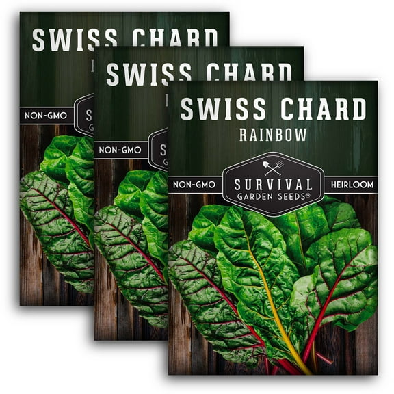 3 Packs Rainbow Swiss Chard Seeds - Non-GMO Heirloom Full Sun Annual Vegetable
