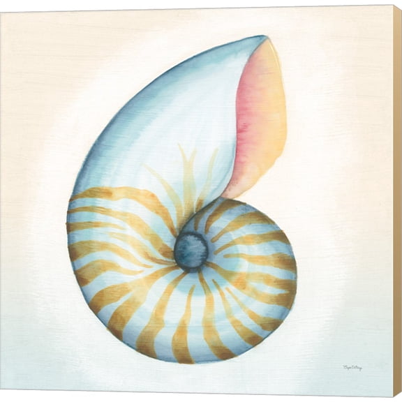 Boardwalk Nautilus by Elyse DeNeige, Canvas Wall Art